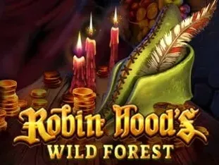 Robin Hoods Wild Forest game icon